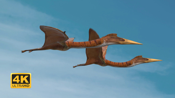 flying quetzalcoatlus